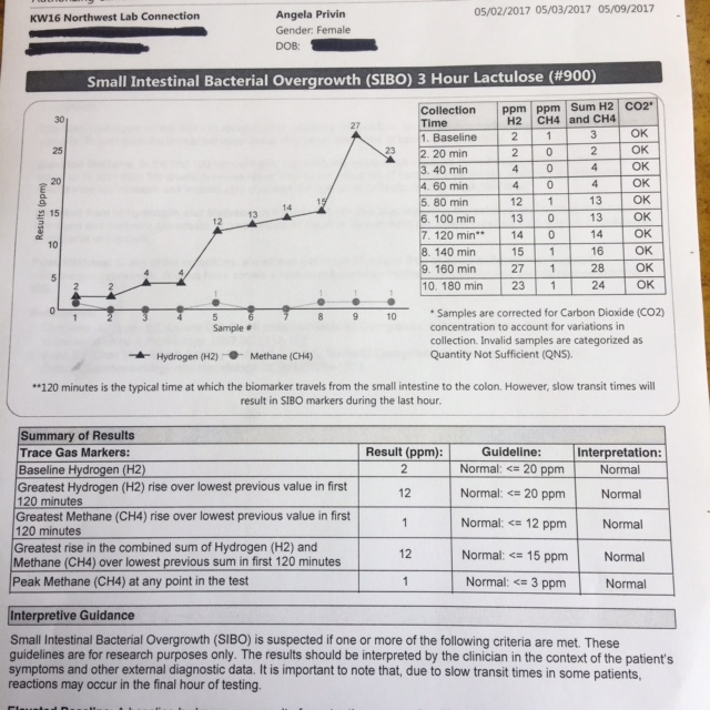 How I beat SIBO in 6 weeks