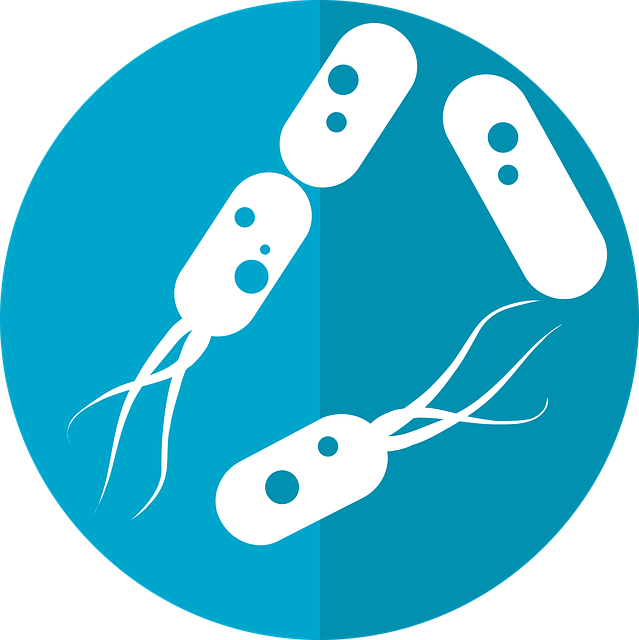 How to treat h pylori (and the root cause of my SIBO)